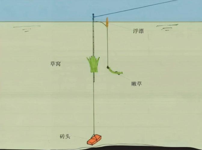 草魚釣法_玉米浮釣草魚技巧_浮釣草魚技巧