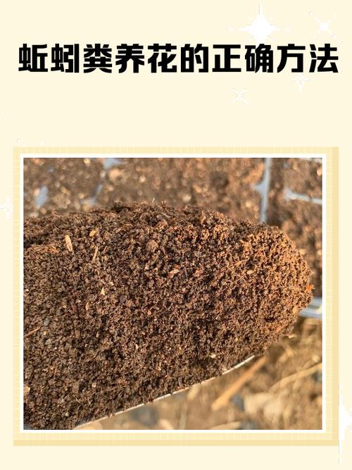 蚯蚓飼料發酵技術_人工養殖蚯蚓方法介紹_蚯蚓無土簡單養殖法