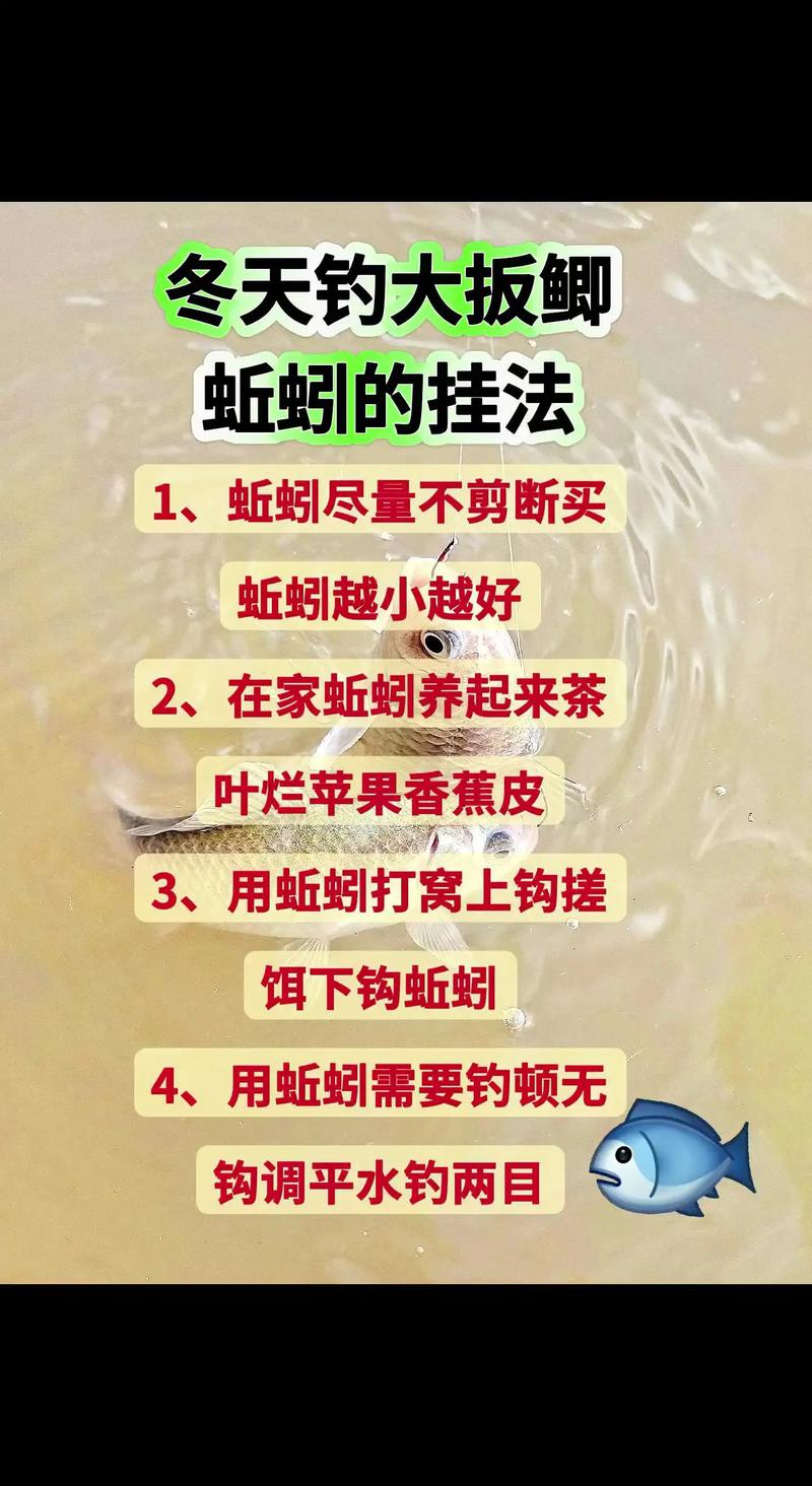 用蚯蚓釣魚技巧_冬季蚯蚓釣鯽魚技巧_蚯蚓餌料制作方法