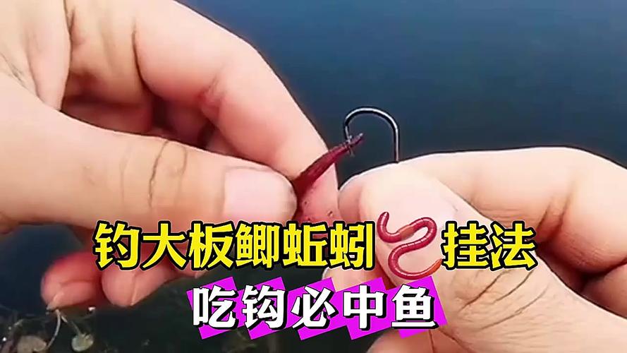 用蚯蚓釣魚技巧_蚯蚓餌料制作方法_冬季蚯蚓釣鯽魚技巧