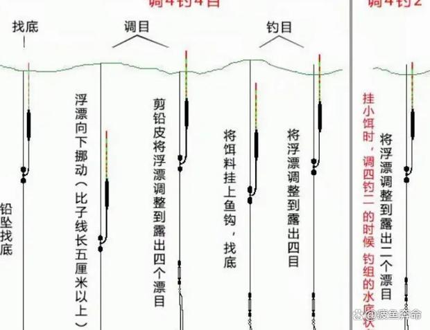 釣鯉魚技巧_鯉魚_鯉魚釣法必看_臺釣鯉魚線組搭配