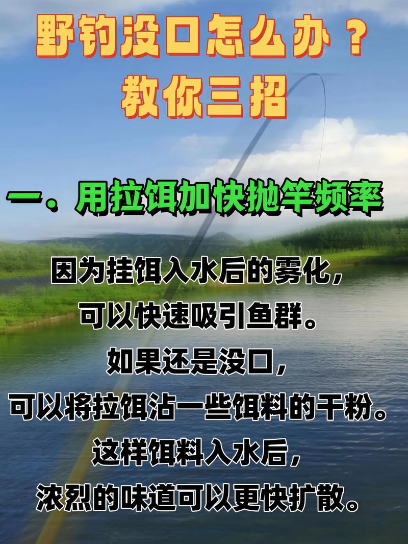 釣魚基礎餌狀態餌味型餌_黃金三角配餌技巧_釣魚配餌技巧
