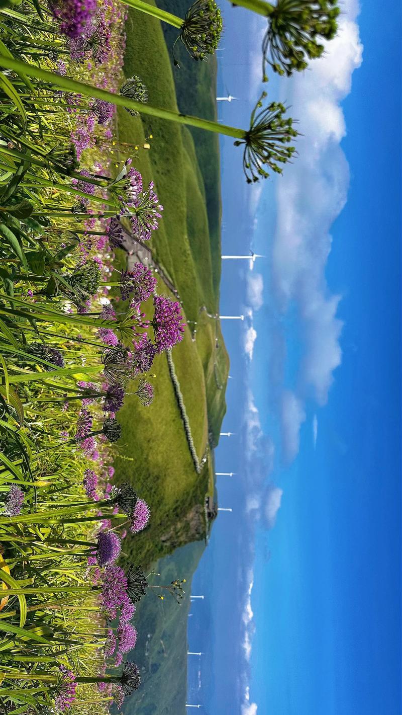 韭菜坪天氣_韭菜坪實時天氣查詢_貴州屋脊天氣變化規律