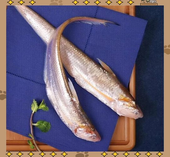 武漢長江三鮮養殖_長江刀魚養殖_恒宇信科技養殖專業合作社