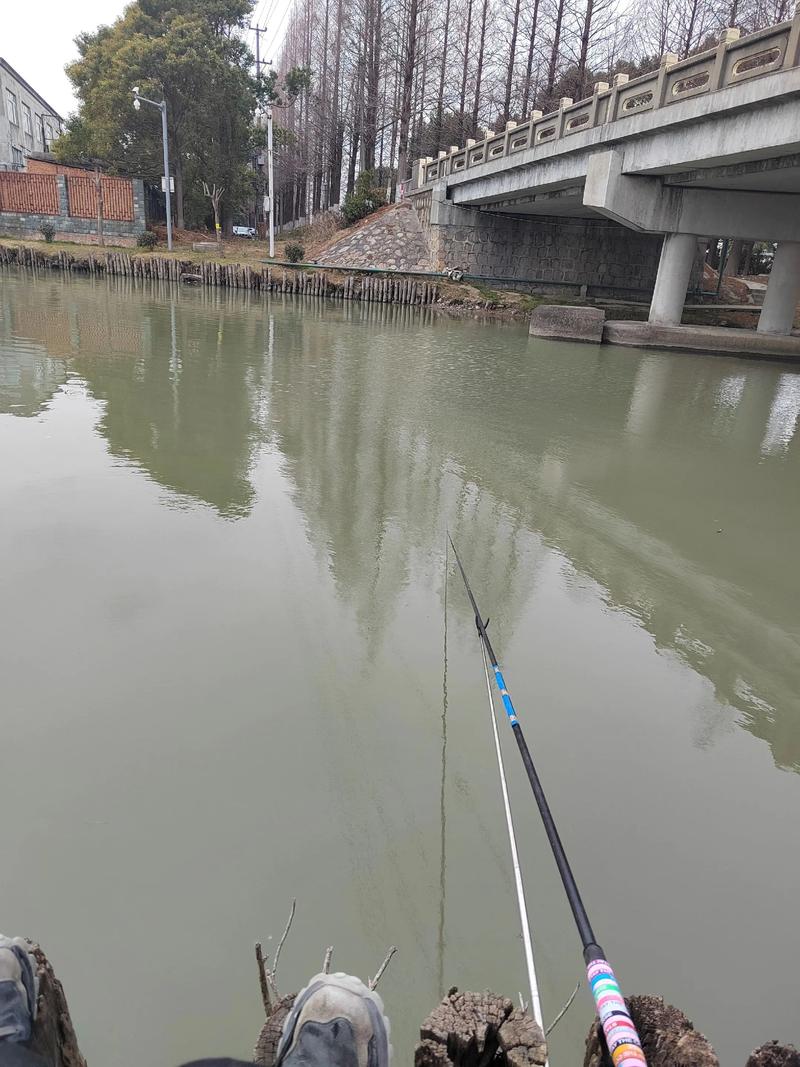 上海崇明野釣的好地方_崇明大河釣魚經驗分享_崇明板鯽釣魚攻略