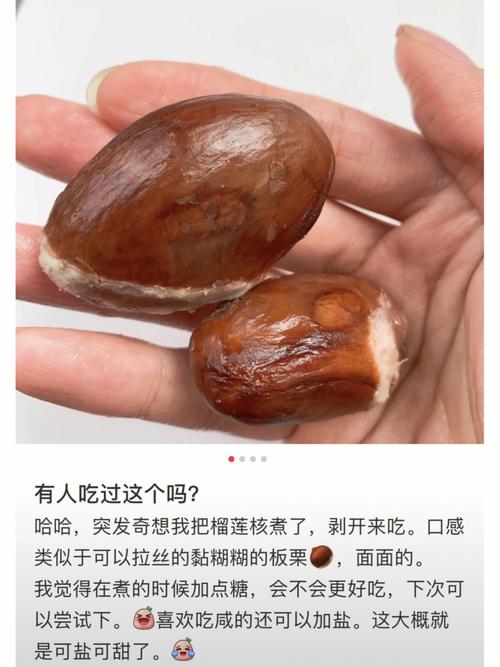 榴蓮核能吃嗎?_榴蓮核的多種吃法大全_榴蓮核能吃嗎