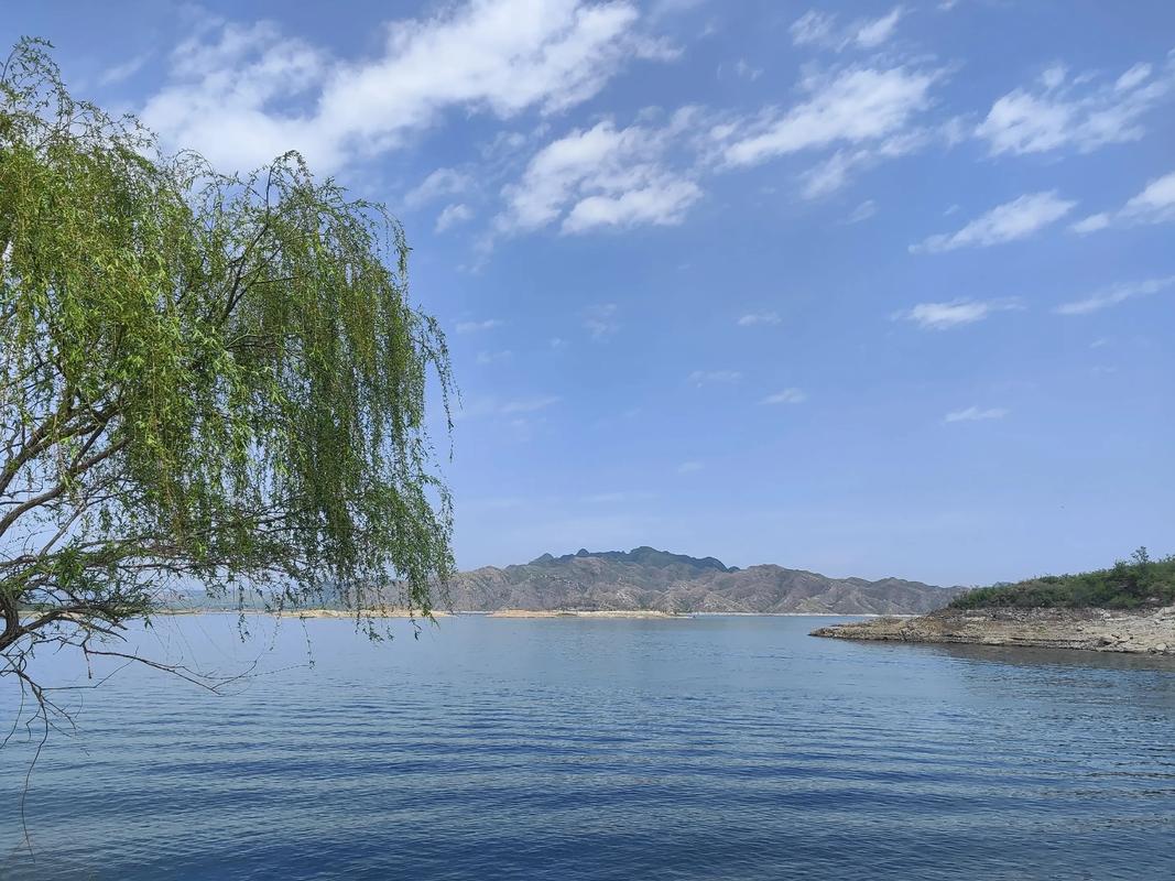 王快水庫櫻花溪谷_王快水庫_王快水庫一日游攻略