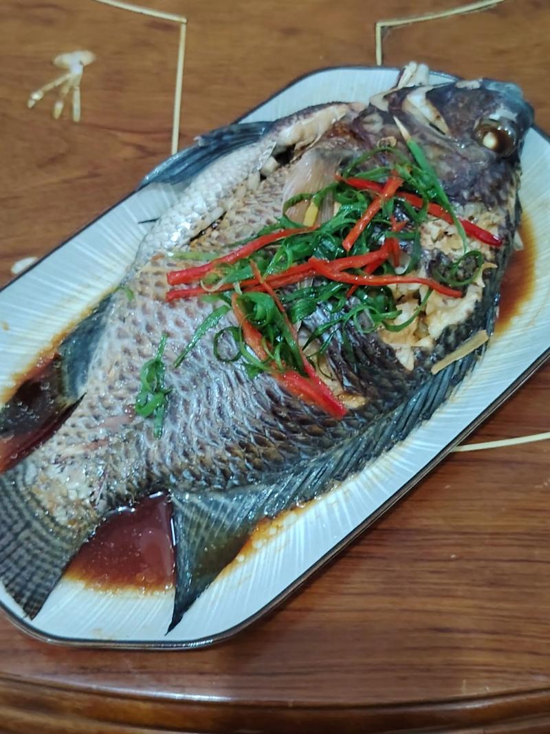 吉利羅非魚和羅非魚的區別_吉利羅非魚產地_蒸羅非魚的做法