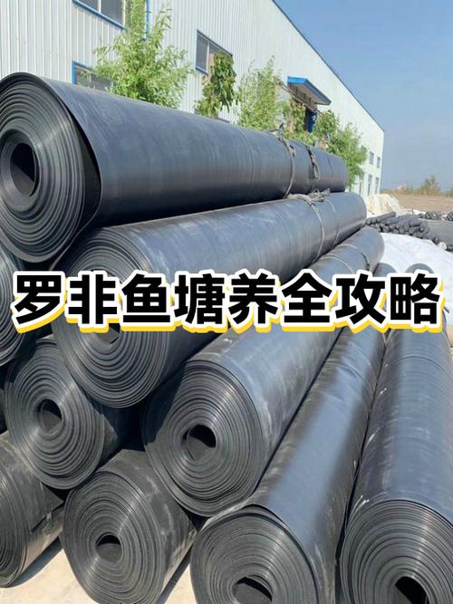 網箱養殖花鰱技術_花鰱網箱養殖注意事項_網箱養魚技術