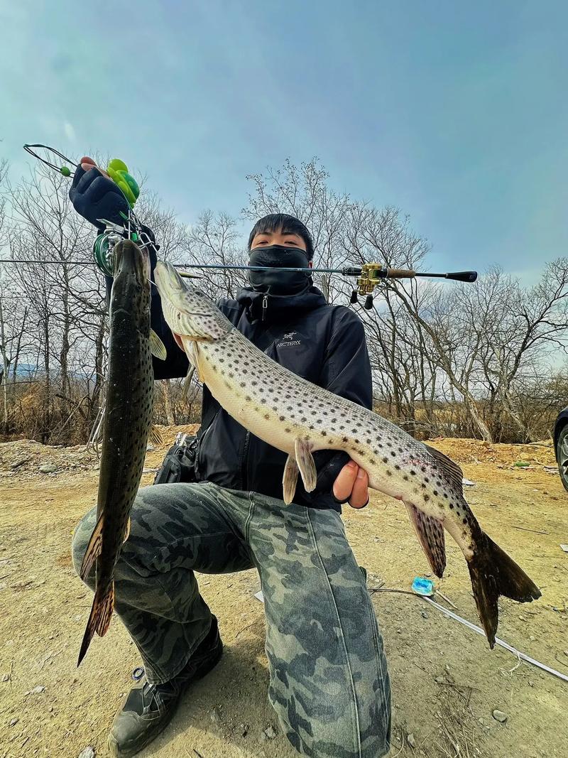 全面解析狗魚生活習性與路亞狗魚技巧必看_路亞狗魚標點選擇_路亞狗魚生活習性