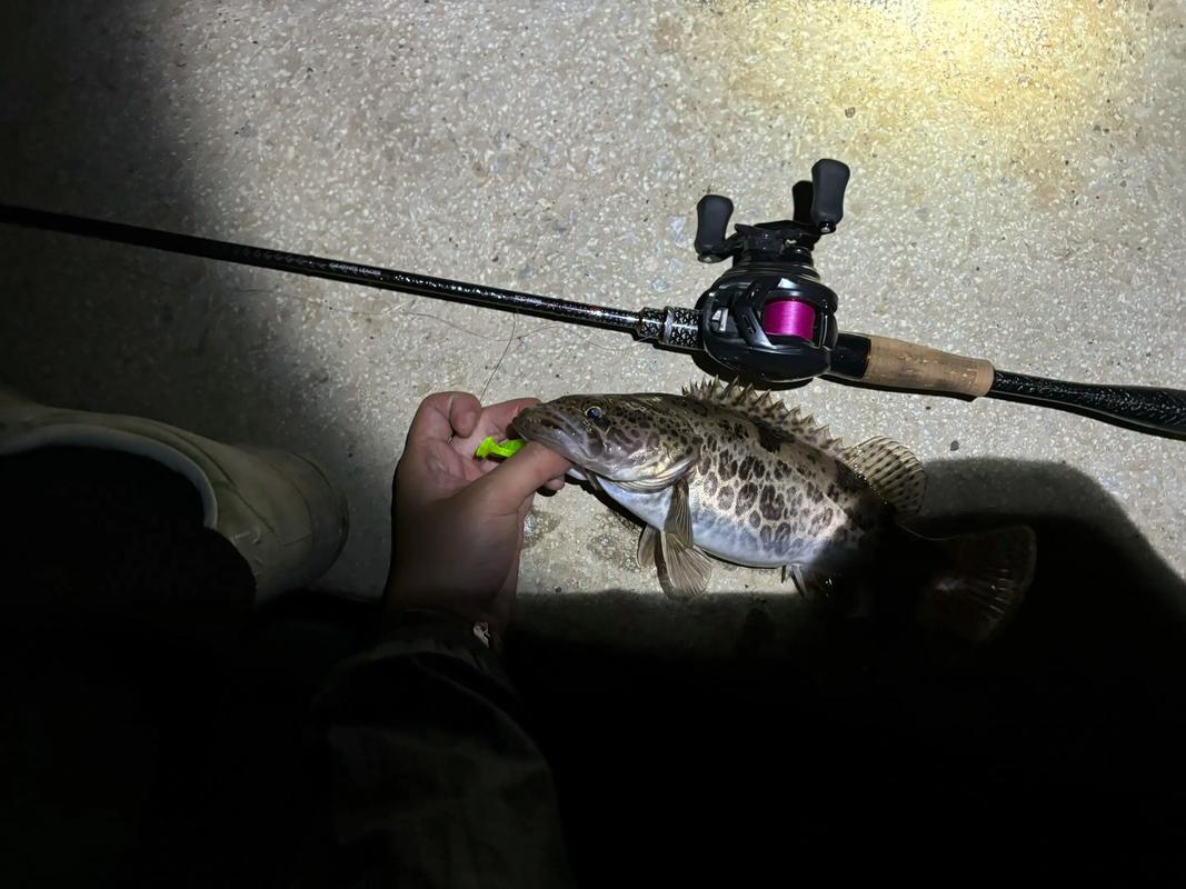 龍江河魚類資源保護_龍江河_龍江河釣魚攻略_龍江河可以釣魚嗎_龍江河水質評價