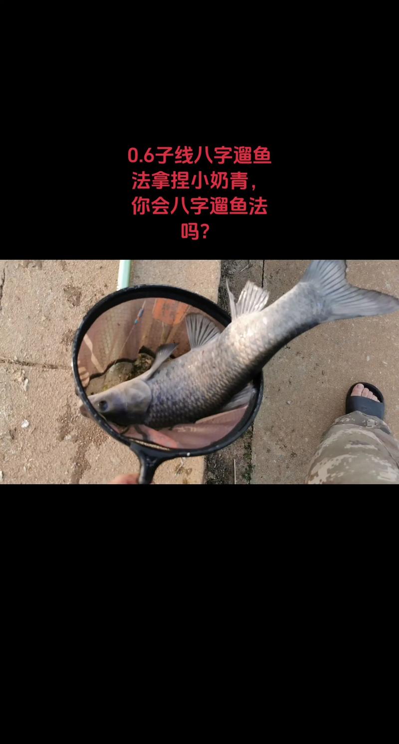 遛魚技巧_控魚方法_遛魚_遛魚技巧_如何遛魚_八字遛魚法必看