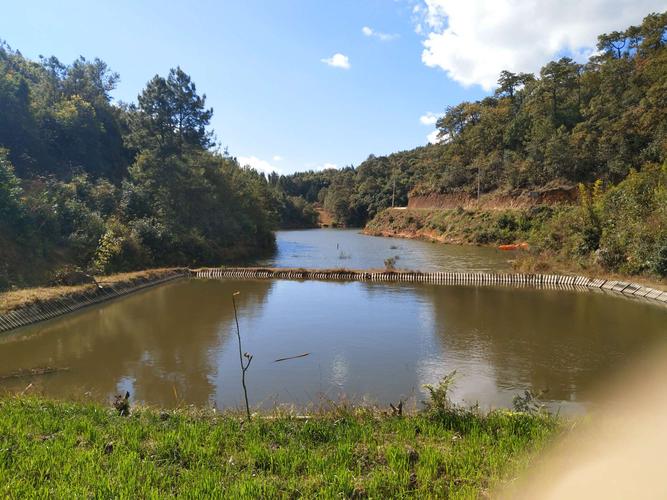 楚雄竹箐口水庫釣位推薦_昆明周邊100公里內周末垂釣水庫_昆明周邊水庫野釣