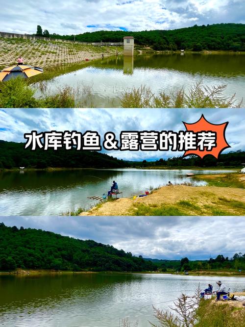 楚雄竹箐口水庫釣位推薦_昆明周邊100公里內周末垂釣水庫_昆明周邊水庫野釣