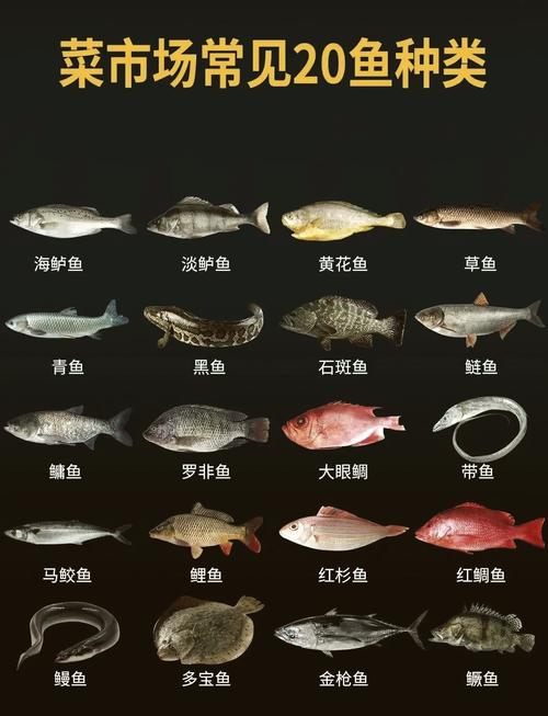 中國常見淡水魚種類_鯽魚養殖與食用方法_中國常見的魚有哪些