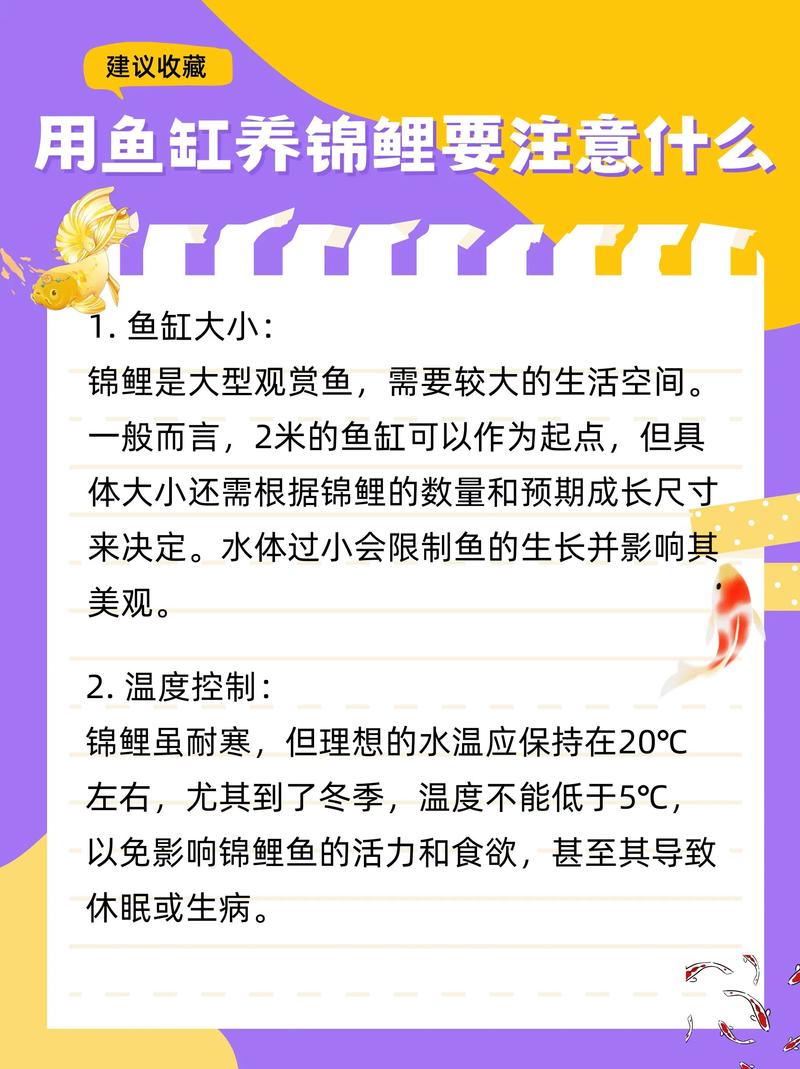 養錦鯉水質管理_錦鯉水溫控制技巧_如何把小鯉魚飼養好?