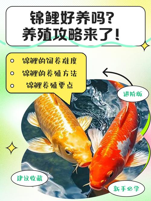 如何把小鯉魚飼養好?_養錦鯉水質管理_錦鯉水溫控制技巧