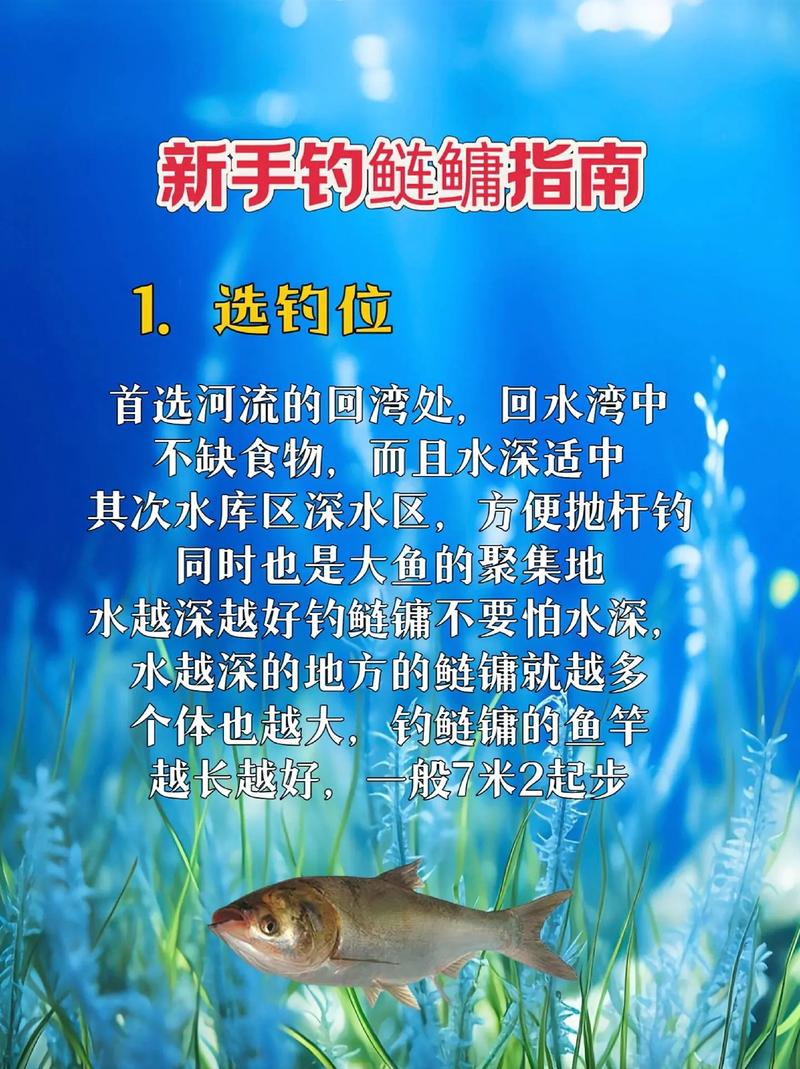 如何浮釣鰱鳙必看_鰱鳙釣具選擇與餌料開法_釣鰱鳙基礎教學