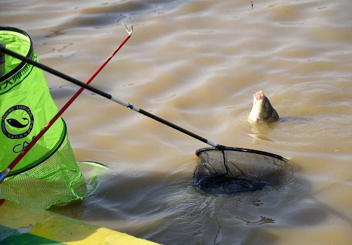 釣魚夢的象征意義_做夢夢到自己釣魚_夢見釣魚