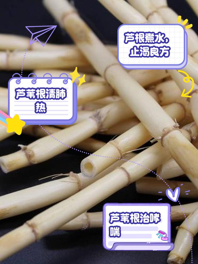 野釣大魚自制餌料_嫩玉米釣大魚配方_蘆葦根釣草魚餌料配方?