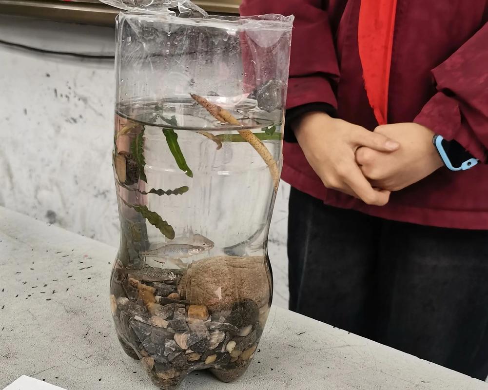 無土養蚯蚓方法最簡單_立體恒溫智能化蚯蚓養殖_蚯蚓糞有機肥生產