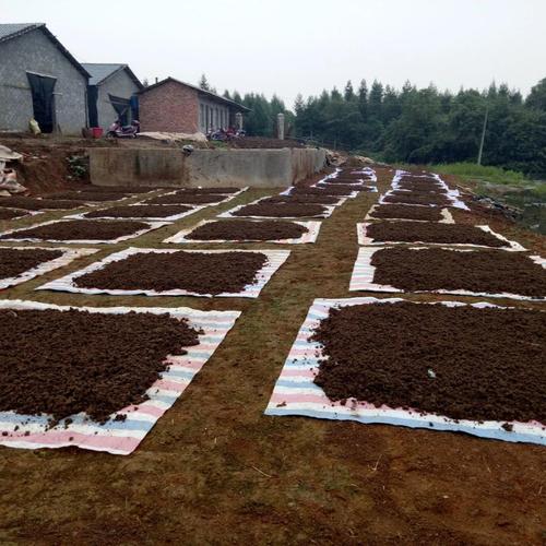 立體恒溫智能化蚯蚓養殖_無土養蚯蚓方法最簡單_蚯蚓糞有機肥生產