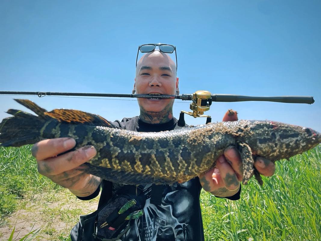 路亞釣魚視頻_路亞釣法視頻_路亞黑魚視頻-_路亞釣法假餌選擇經驗分享_路亞釣法核心技術要領