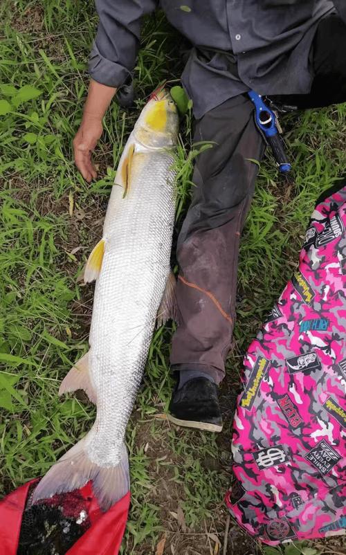 漢石橋濕地游船項目_漢石橋濕地野釣區_漢石橋濕地釣魚收費