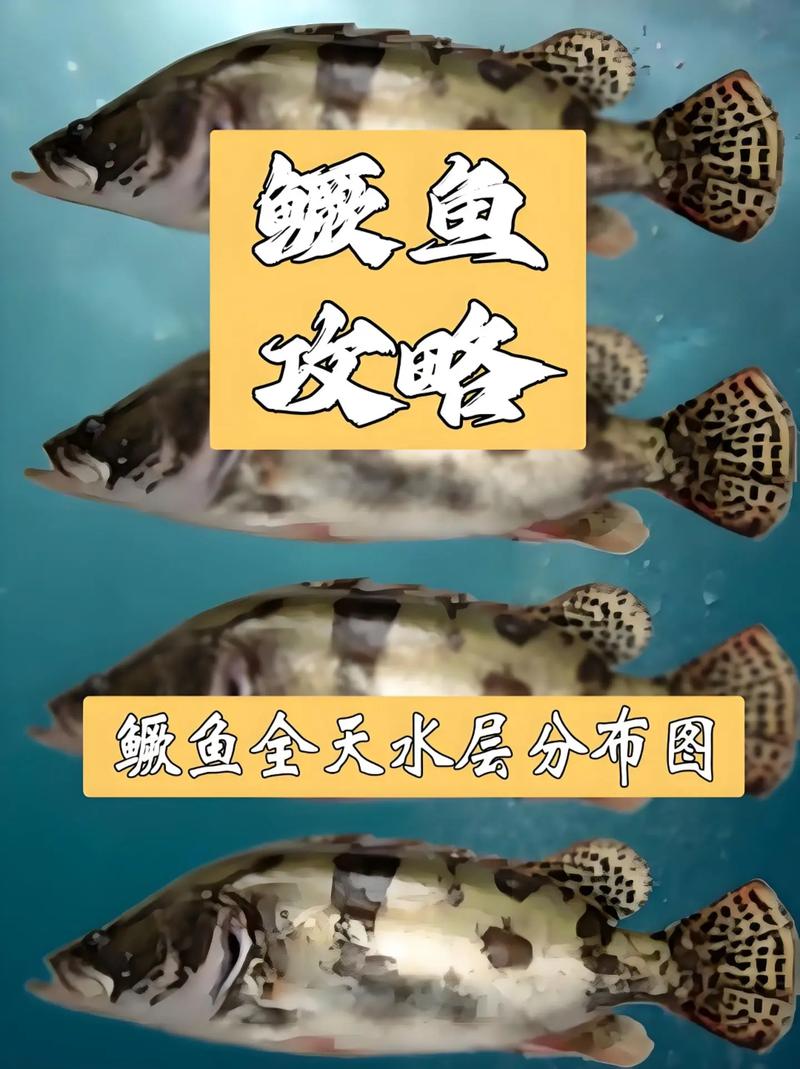 鱖魚垂釣餌料選擇_路亞鱖魚非常實用的幾個小常識_鱖魚手竿作釣技巧