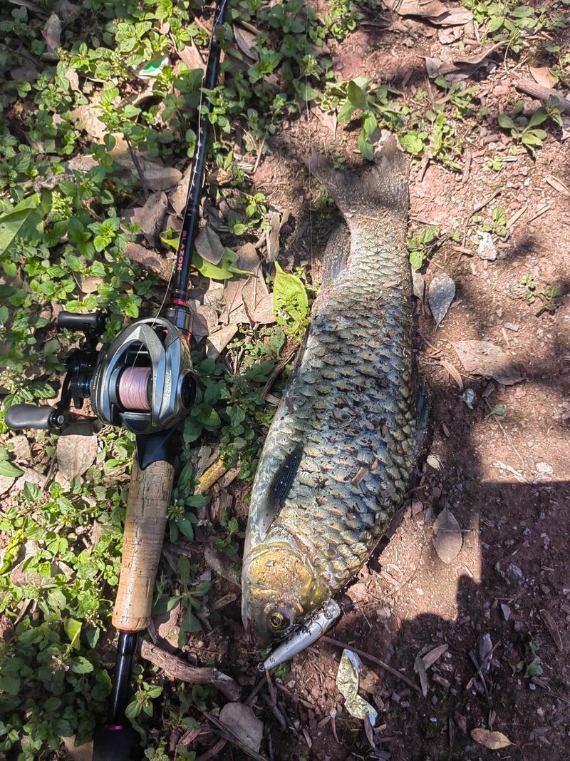 野外垂釣野外釣魚需準備那些東西_新手釣魚裝備選擇_釣竿釣線釣鉤浮漂鉛墜選擇