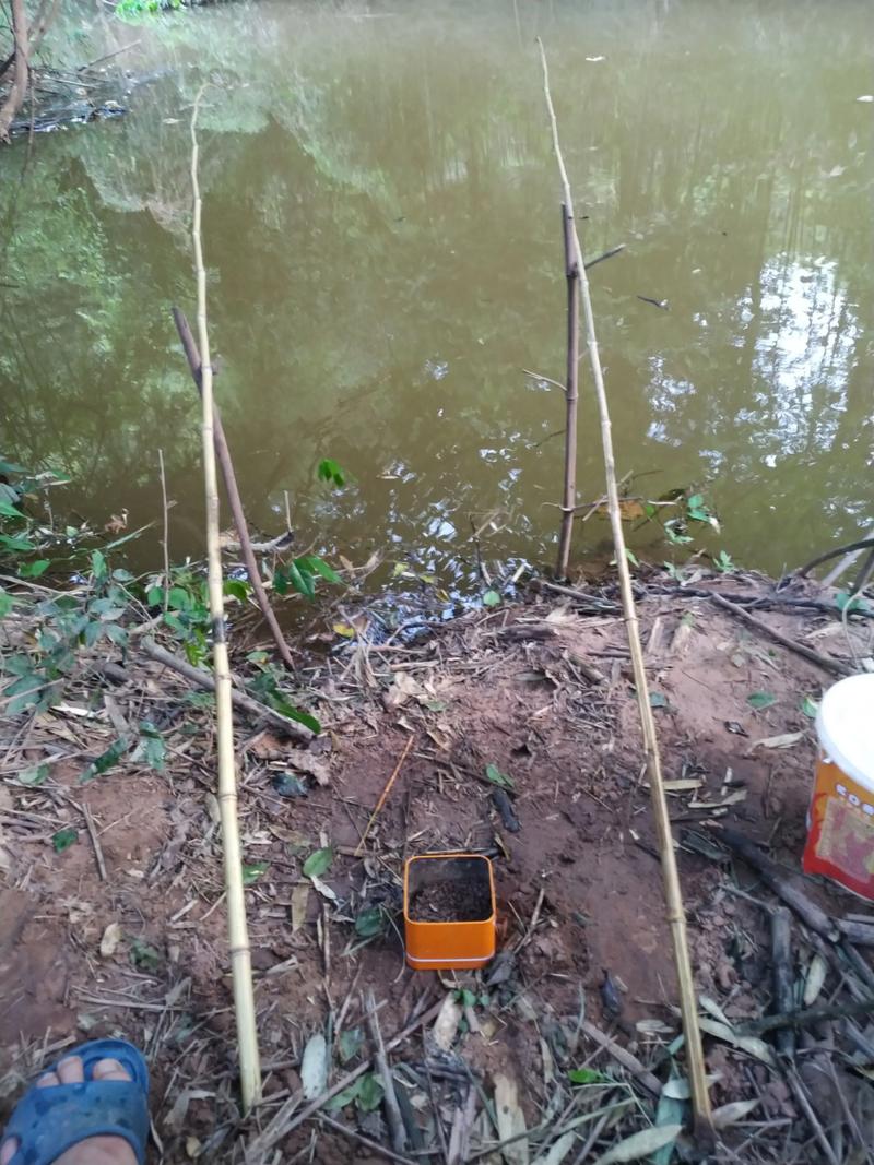 野外垂釣野外釣魚需準備那些東西_夏季釣魚用品清單_野外釣魚必備用品