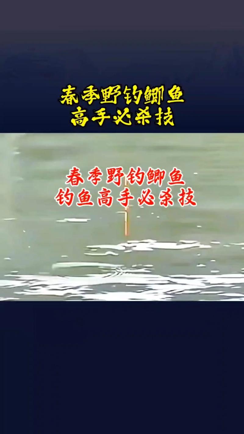春釣鯽魚技巧_野外釣鯽魚前你得先學會這5種技巧必看_春季釣鯽魚方法