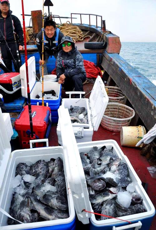 黑鲪魚釣點分布_蓬萊海邊釣魚的地方嗎_蓬萊黑鲪垂釣