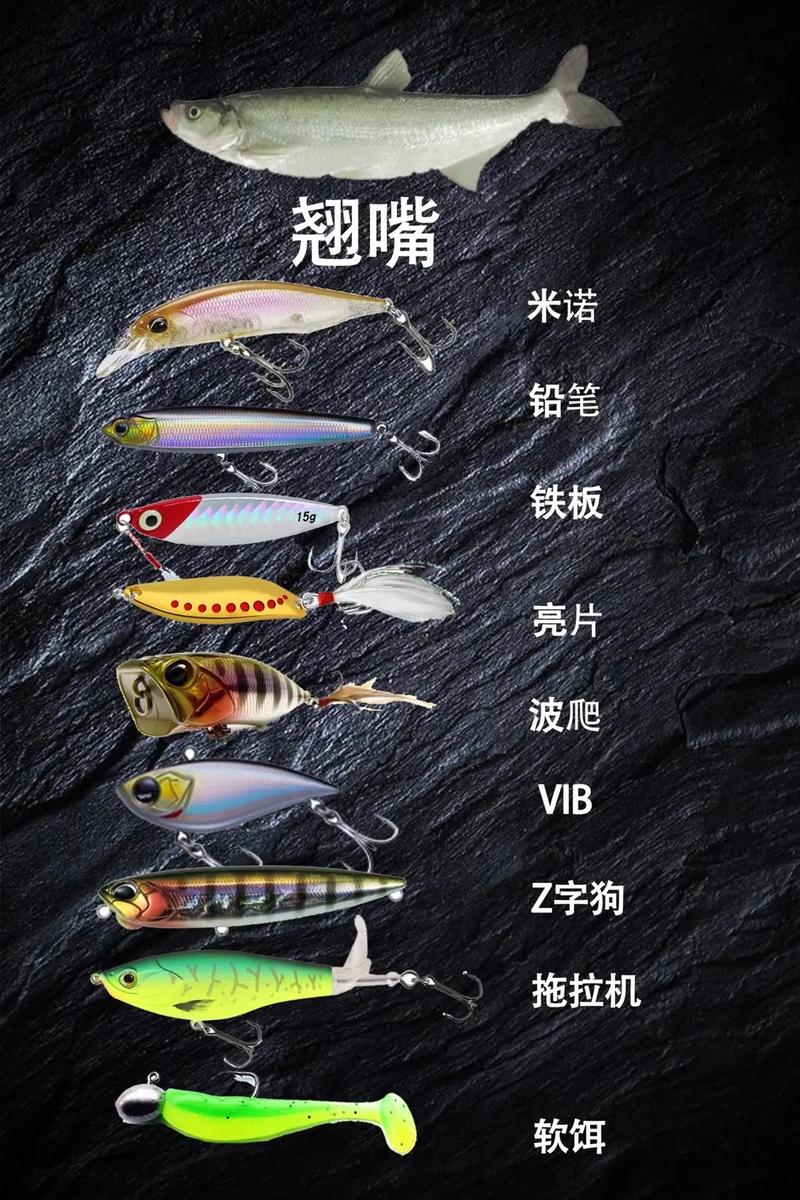 路亞軟餌種類_路亞擬餌入門必看_軟餌釣法技巧