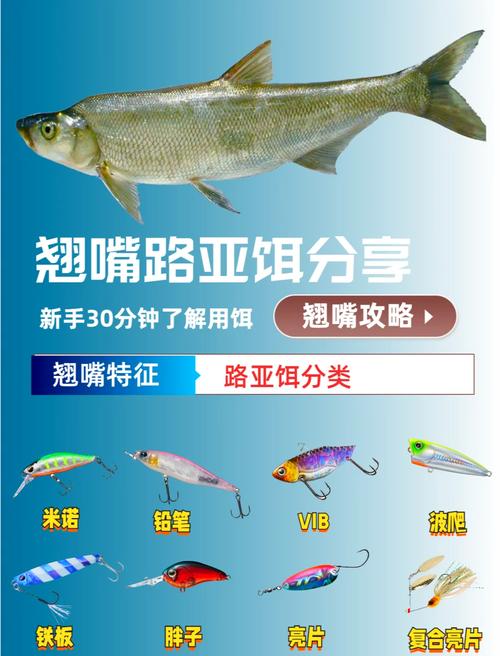 路亞翹嘴的技法以及假餌的使用技巧_翹嘴紅鲌路亞釣法攻略_路亞釣翹嘴技巧