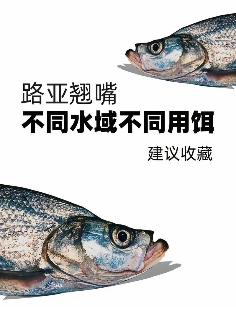 軟餌路亞釣翹嘴技巧_鉛頭鉤克重選擇水情魚情_路亞翹嘴的技法以及假餌的使用技巧