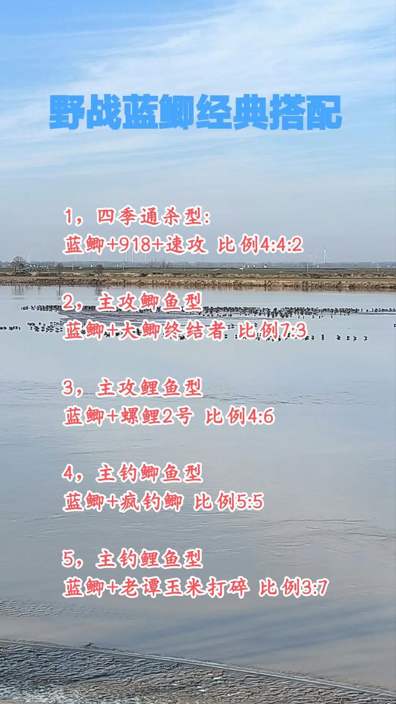 野戰藍鯽速攻2#餌料用法_野戰藍鯽和不空軍如何搭配?_野戰藍鯽配方搭配