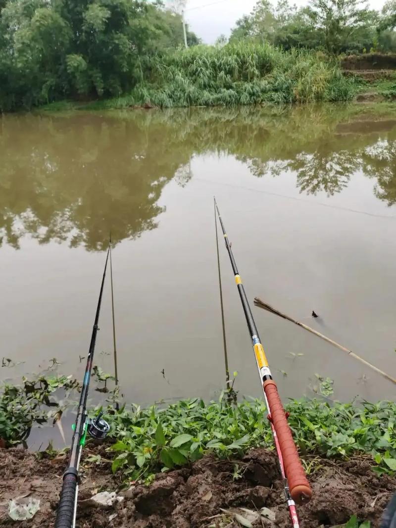 西安釣魚比賽_西安釣魚網放魚信息_西安釣魚愛好者