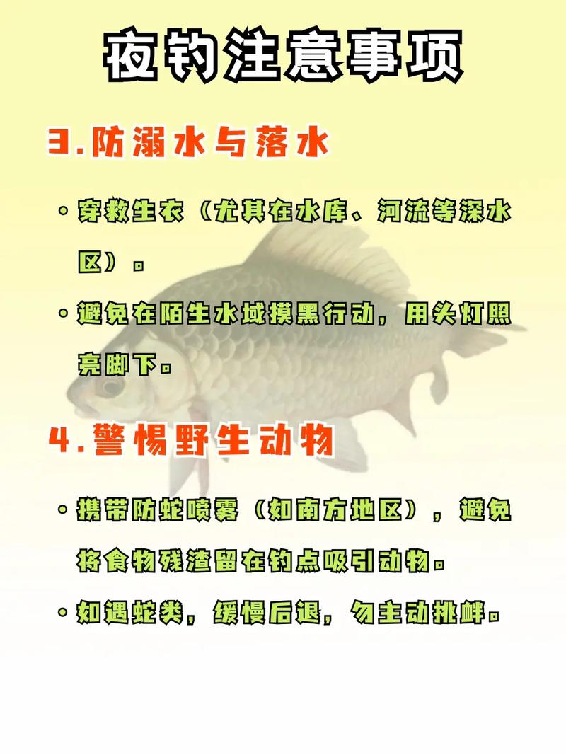 夜釣小知識_夜釣講究什么_夜釣有七條注意事項沒準備好就別去釣了必看