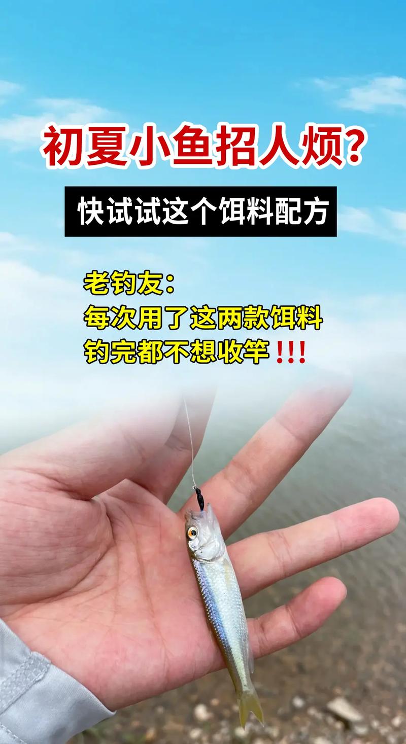 清淡餌料夏季釣魚_初夏釣魚用什么餌料_夏季釣魚餌料特點