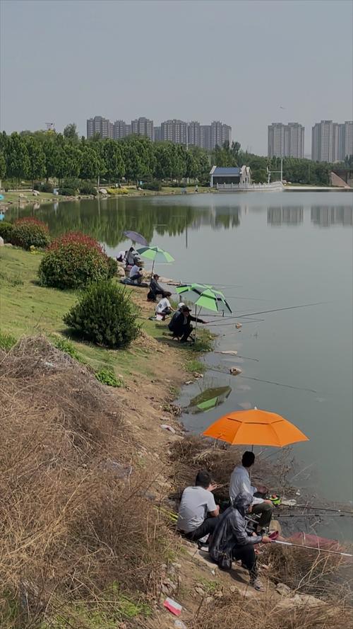 鄭州免費釣魚地點_鄭州釣魚好去處_鄭州野釣免費去處