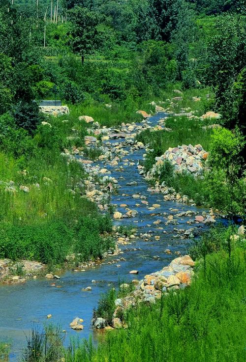 鄭州野釣免費去處_楚河漢界風景區玩水_鄭州近郊釣鯉摸魚