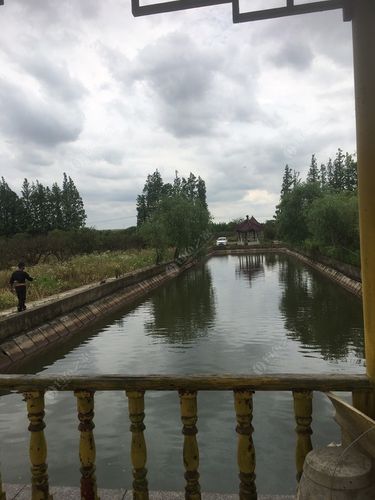 崇明釣魚地方_上海崇明區免費釣場大全_崇明釣點推薦