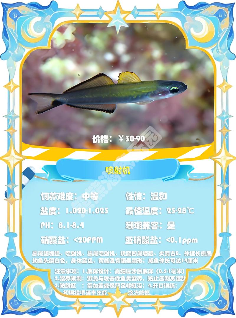 鳚科魚特征_鰕虎科魚種類_蝦虎魚