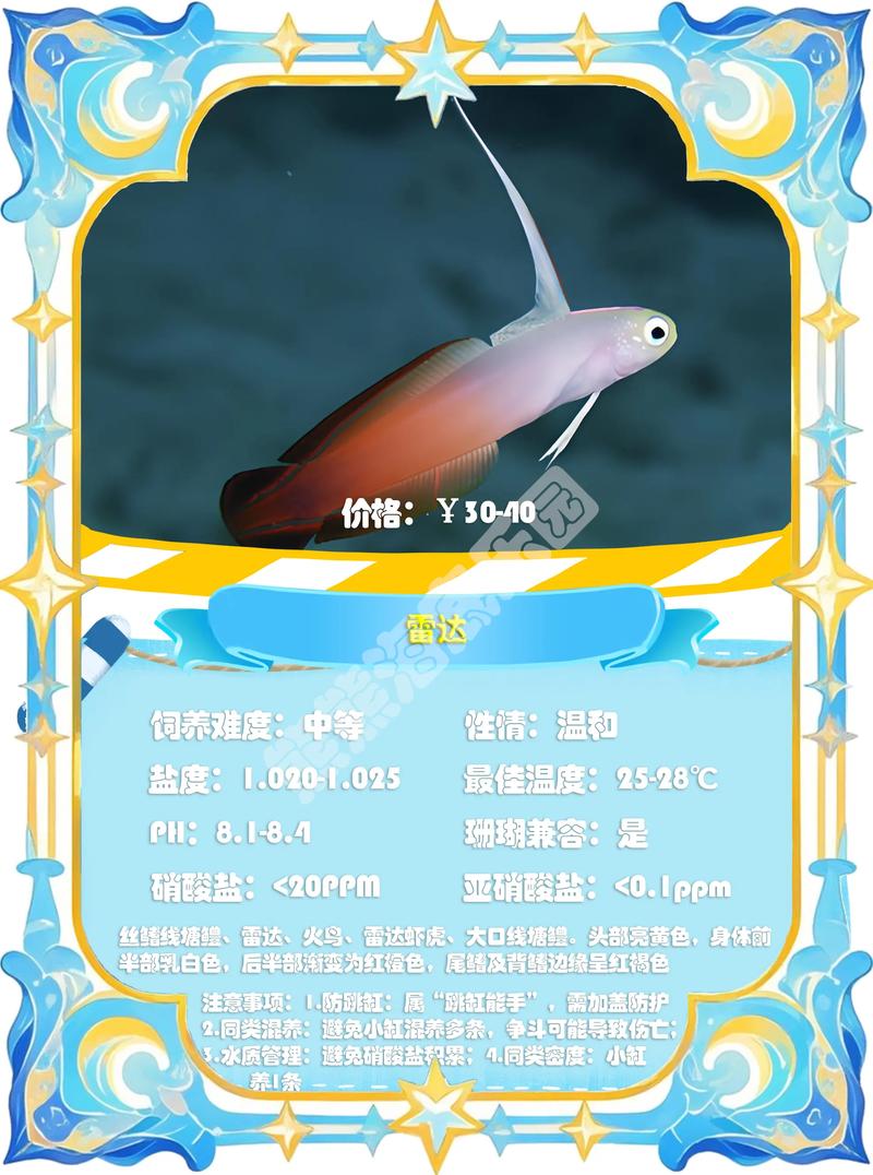 蝦虎魚_鰕虎科魚種類_鳚科魚特征