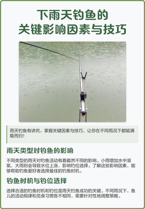 下雨天釣魚注意事項_下雨天釣魚_下雨天適合釣魚嗎