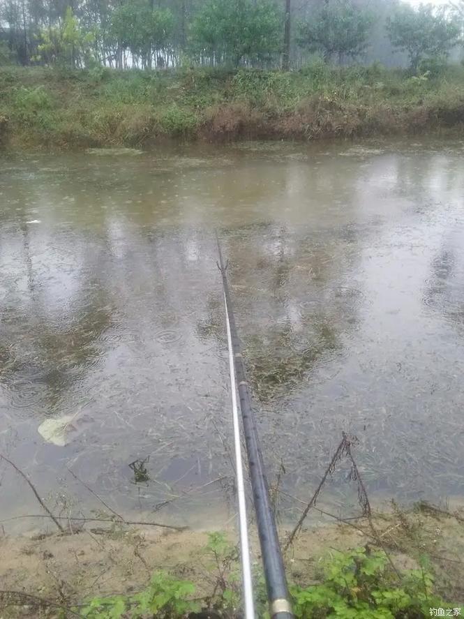 下雨天釣魚釣深還是淺_下雨天釣魚淺水_下雨天釣魚魚口好不好
