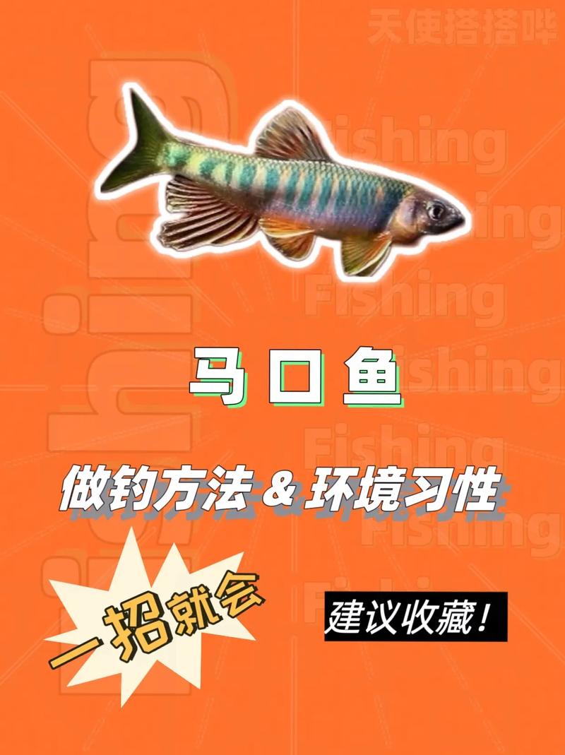 馬口魚和桃花魚的區別_馬口魚_怎樣釣馬口魚_馬口魚釣法