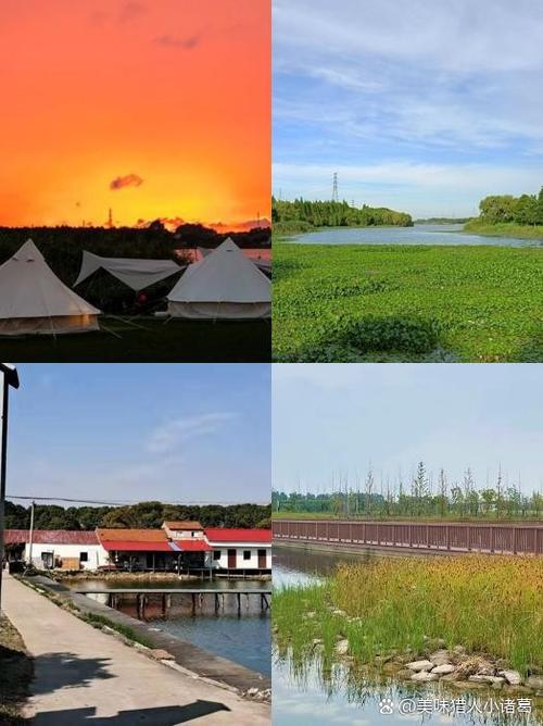 上海釣魚協會地址_青浦釣魚娛樂會所_上海市青浦區釣魚協會