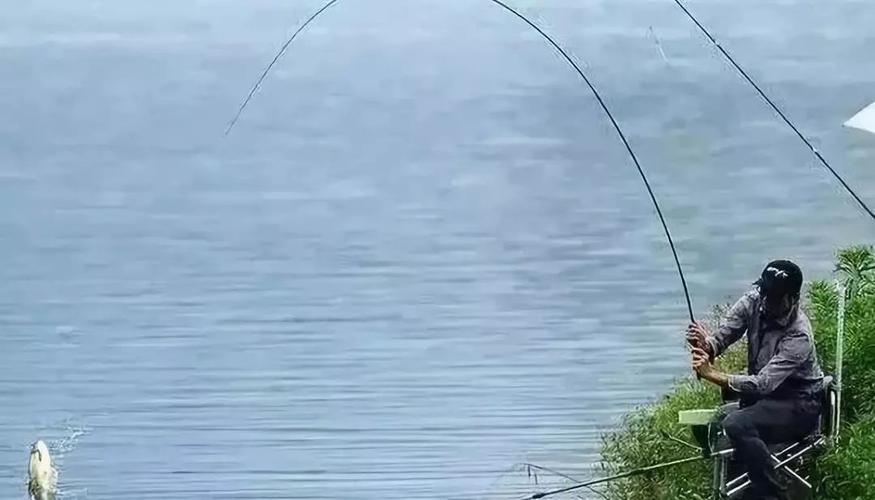 手桿野釣如何正確遛魚_魚竿上魚后正確操作技巧_手竿折斷原因及預防方法